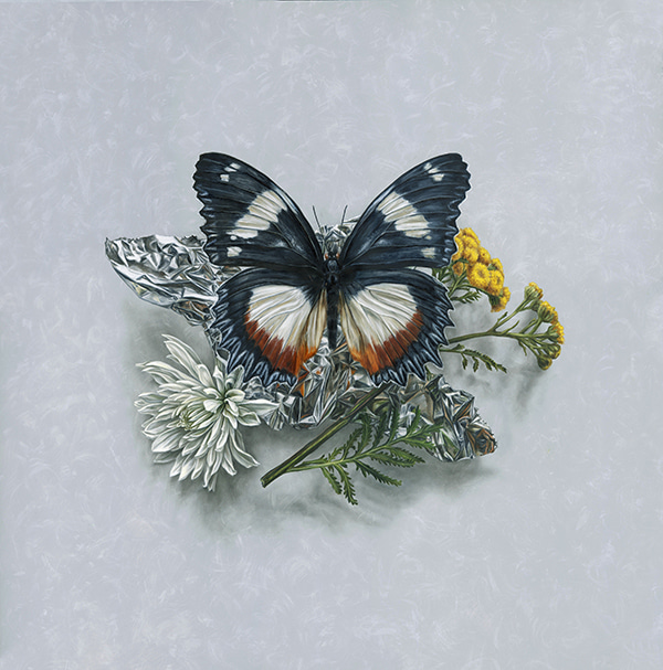 Tansy & Sienna Wing Reflections by Alex Louisa | Lethbridge Gallery